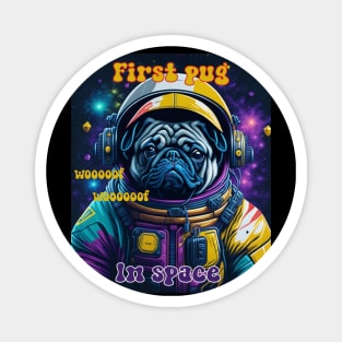 First Pug in space Magnet